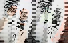 Blogging Search Engine Optimization 